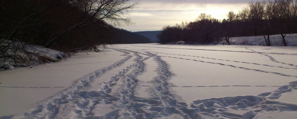 
            Фотография Дубики