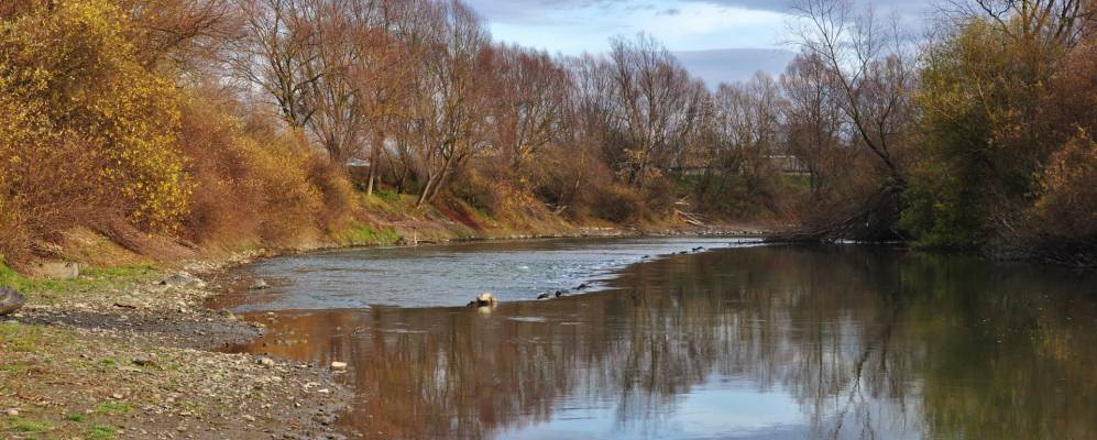 
            Фотография Повергова