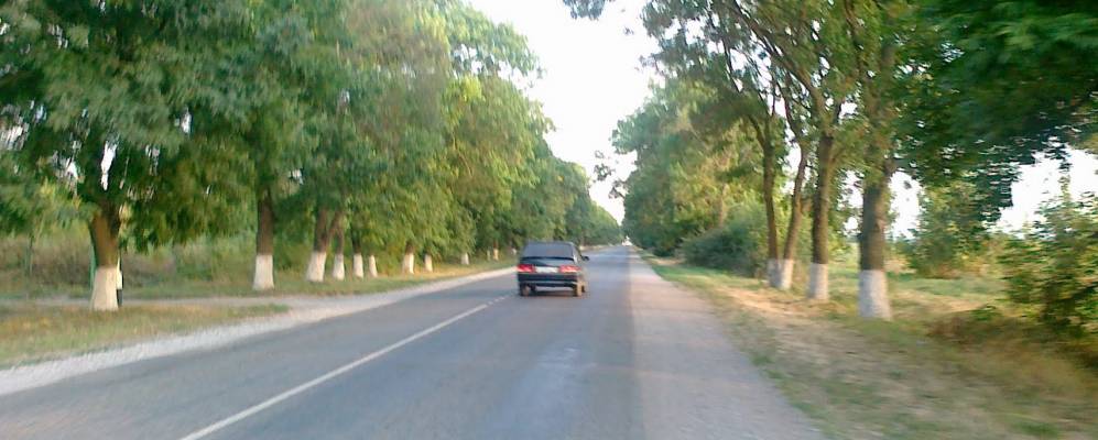 
            Фотография Песчаного