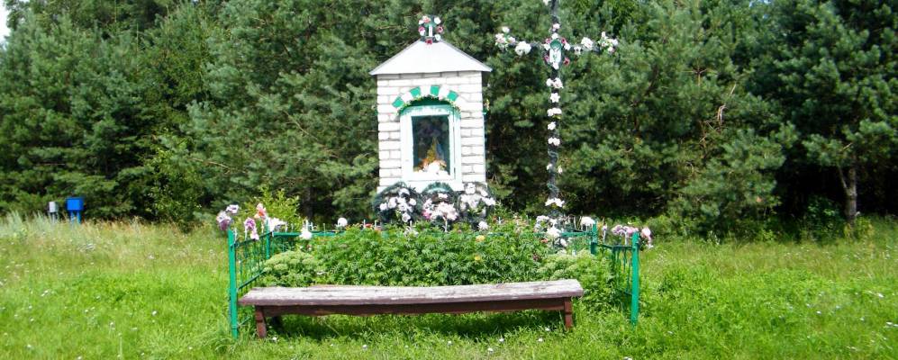 Фотография Нового Света