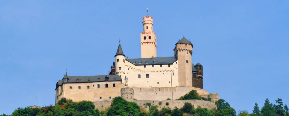 
            Фотография Брей