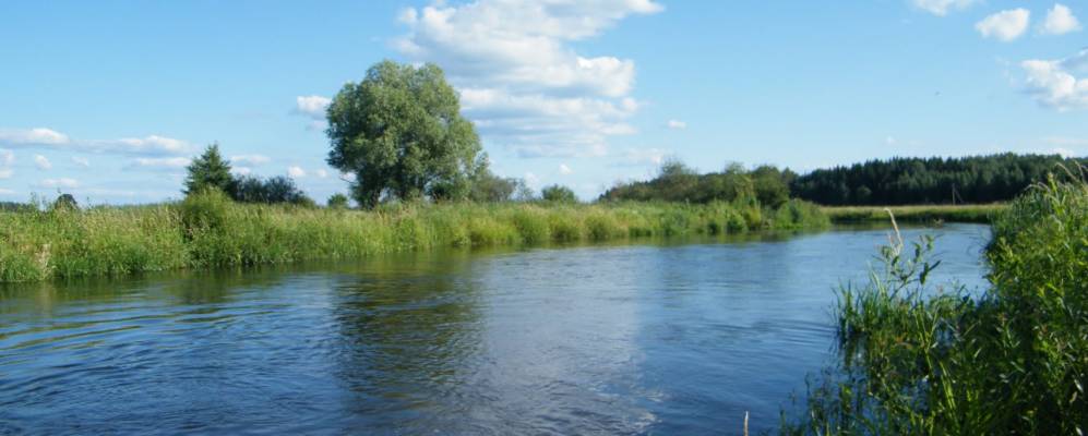 
            Фотография хутора Шашки