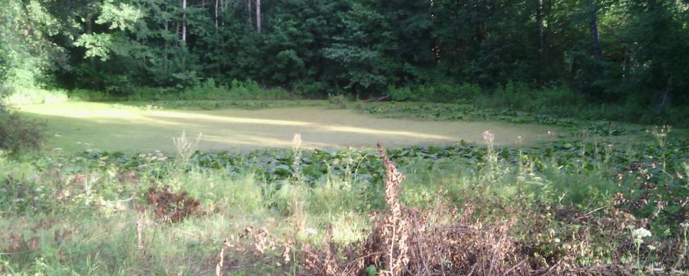 Фотография Октября