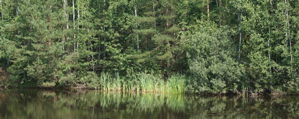 Фотография Ослянов