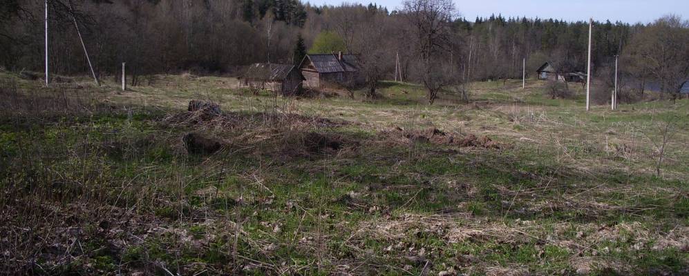 Фотография Белого