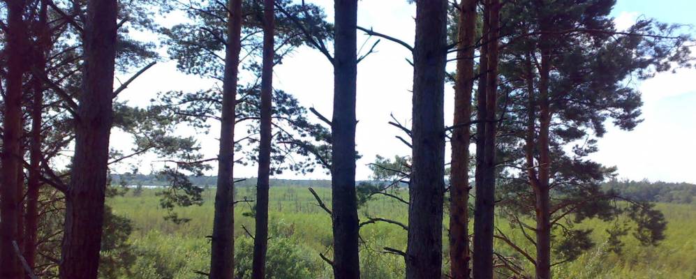 
            Фотография Перевоза