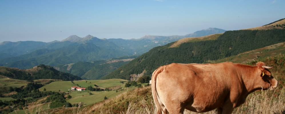 
            Фотография Альберето ди Борготаро