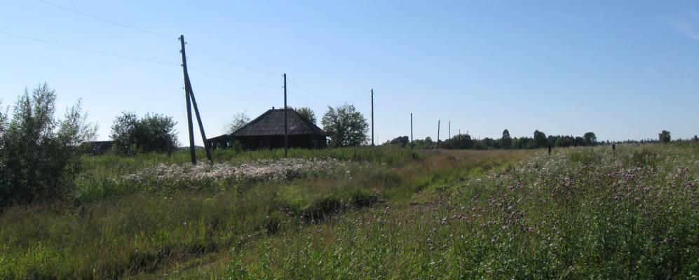 
            Фотография Рубино