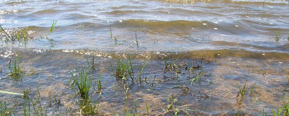 
            Фотография Сен-Жерве-д'Оверн