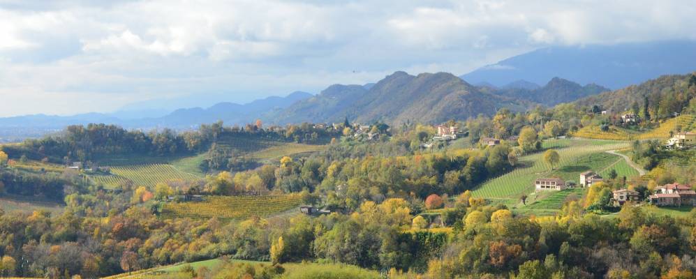 
            Фотография Сан-Пьетро-ди-Фелетто