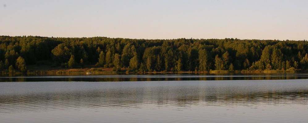 
            Фотография Ветлянов