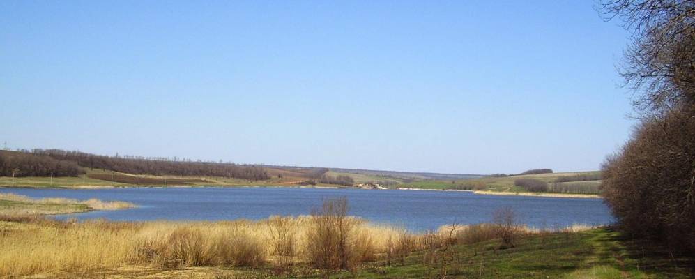 
            Фотография Камышевахи