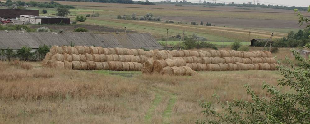 
            Фотография Божедаровки