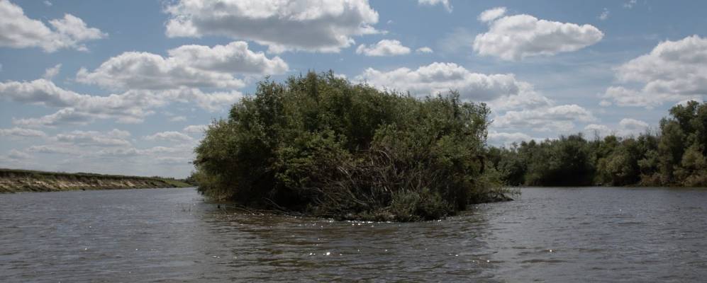 
            Фотография Другановы