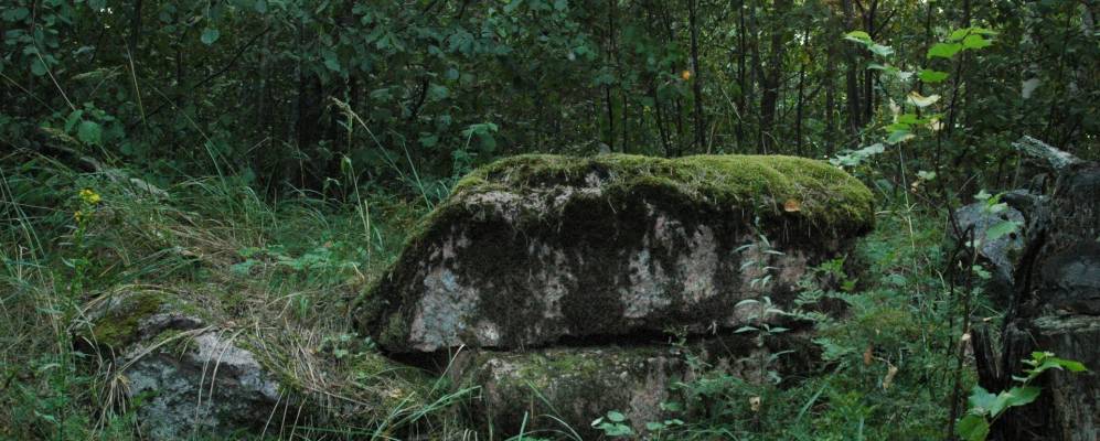 Фотография деревни Гвозды