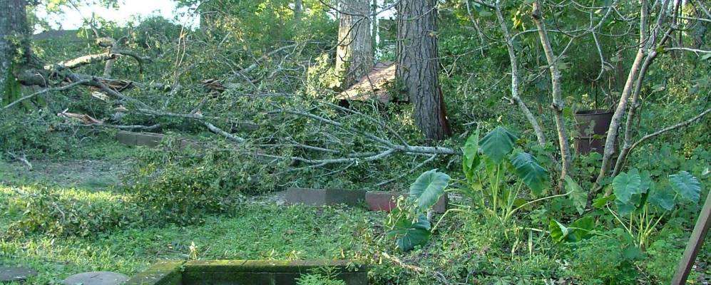 
            Фотография Чайказоу