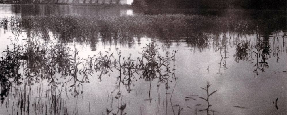 
            Фотография Пятачка