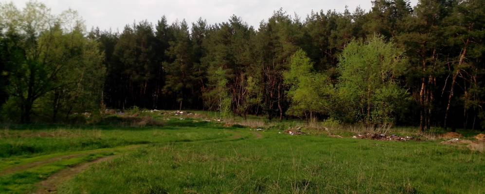 
            Фотография Камышного