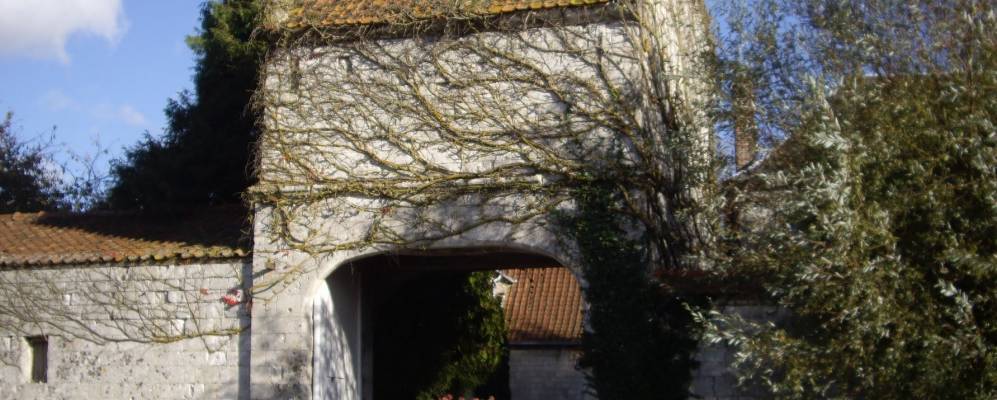 
            Фотография Перна