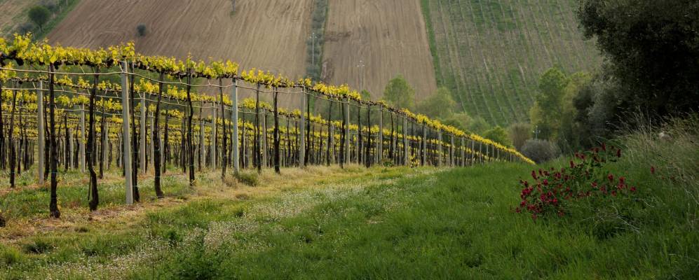 
            Фотография Контрогуэрры