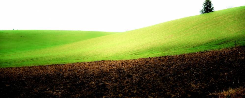 Фотография Павароло