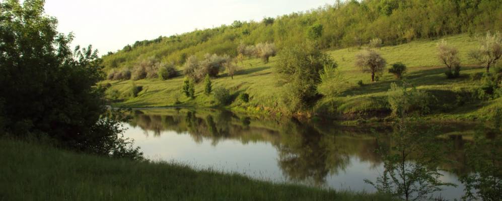 
            Фотография Бендзаров