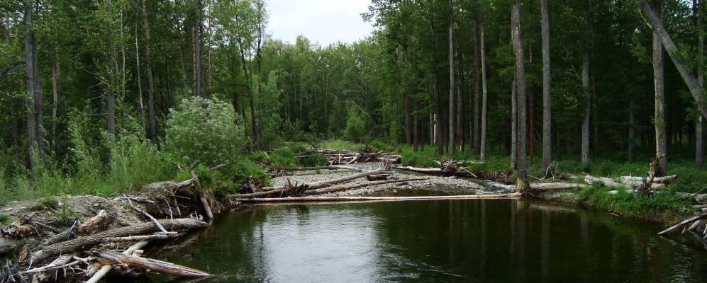 
            Фотография Останцевого