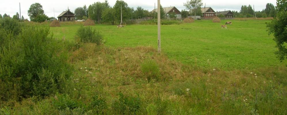 
            Фотография Давыдово