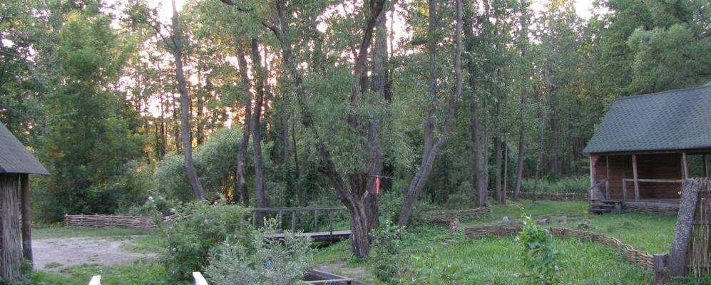 
            Фотография Новополья