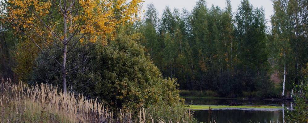 Фотография Зубово