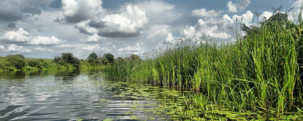 
            Фотография Якиманского