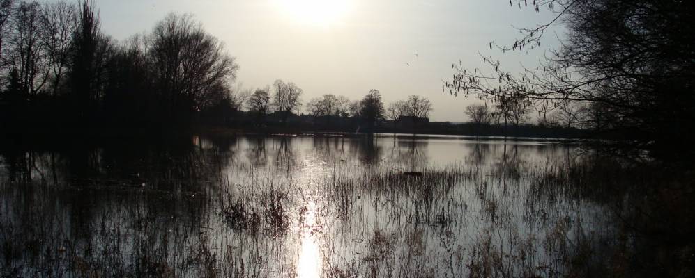 
            Фотография Шаталки