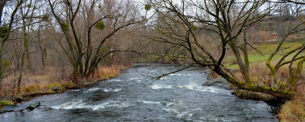 
            Фотография Поташни
