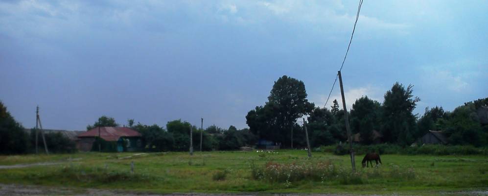 
            Фотография Бобрика Второй