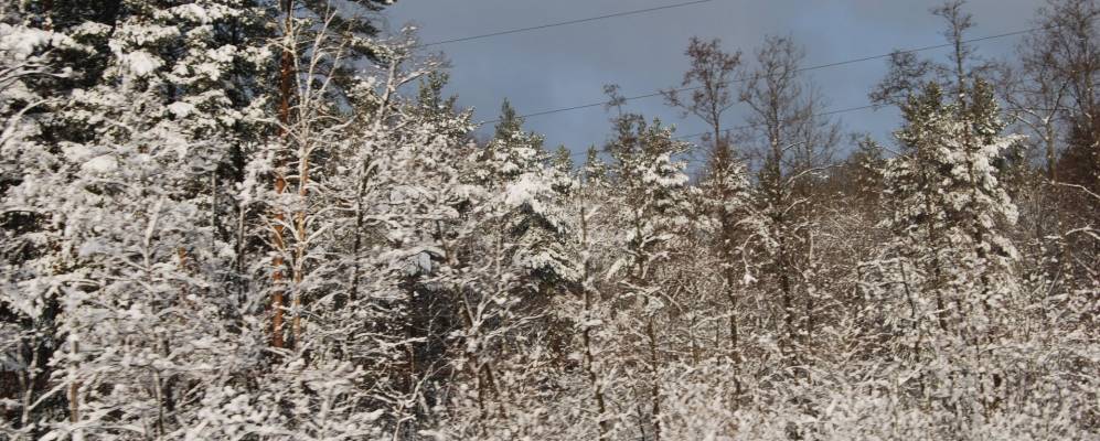 Фотография Лычево