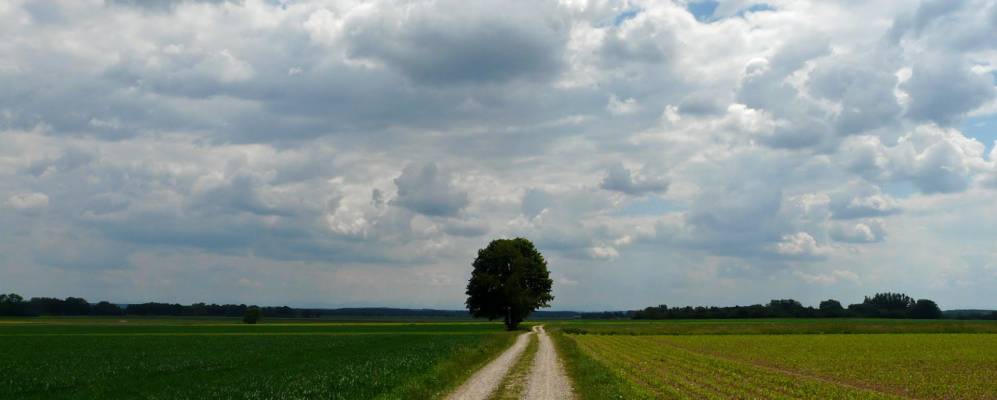 
            Фотография Йенгена