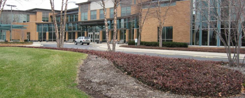 
            Фотография Кармэль