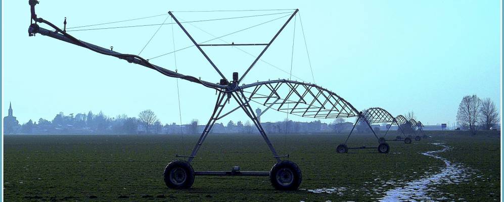 
            Фотография Чиконьоло