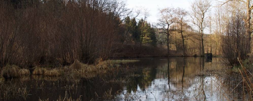 
            Фотография Гераберга