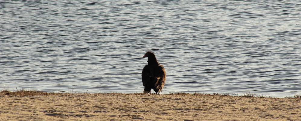 
            Фотография Лаурел Лейка