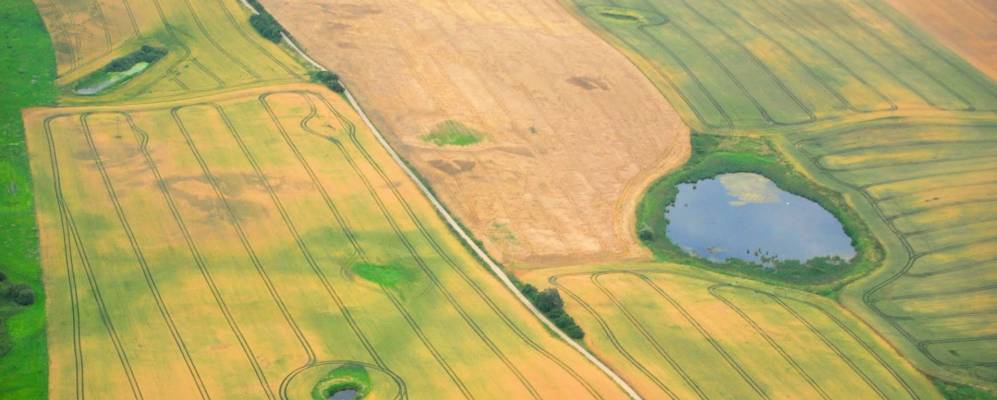 
            Фотография Гилова