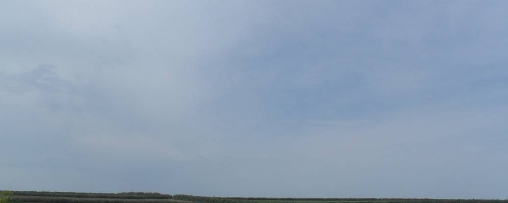 
            Фотография Карла Маркса