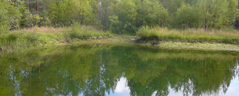 
            Фотография Булатово