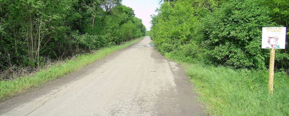 Фотография Маркова