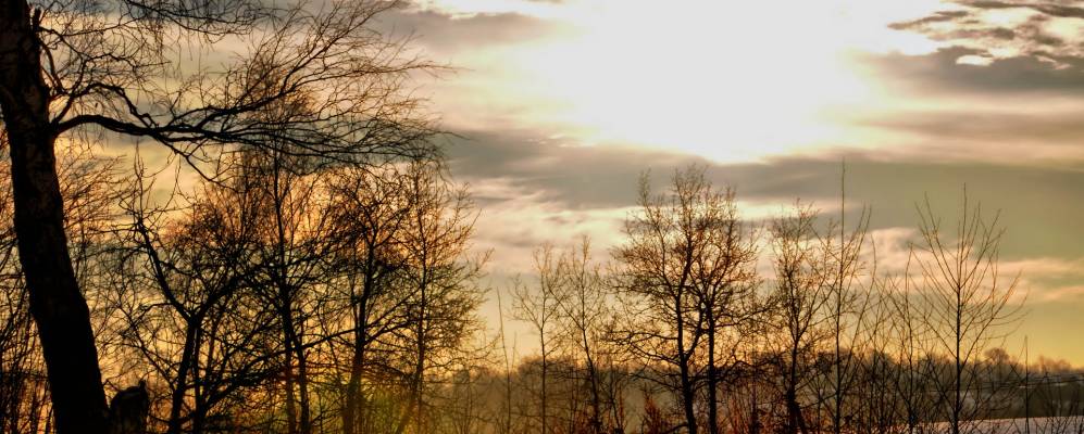 
            Фотография Вознесенского