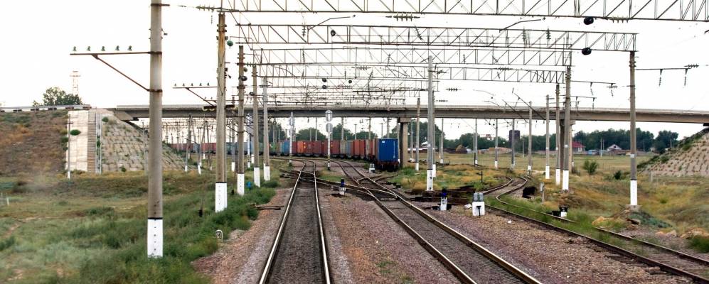 
            Фотография Копы