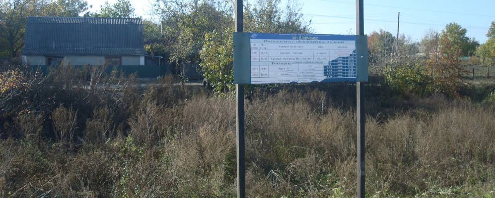 
            Фотография Шевченко