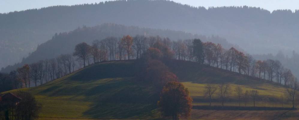 
            Фотография Марли ле Гранда