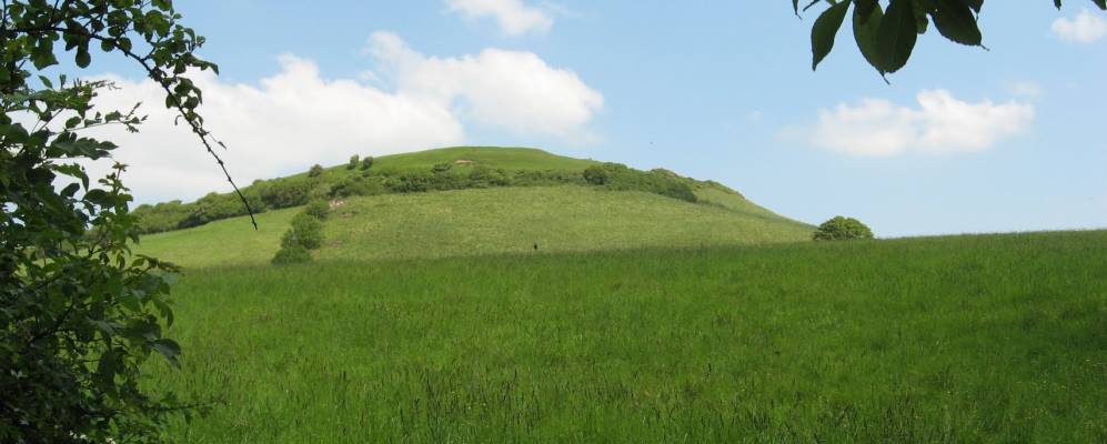 
            Фотография Брент Нолла