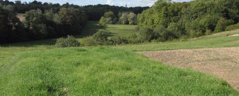 Фотография Thaon